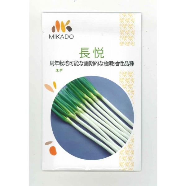 野菜種　ねぎ 長悦葱　　耐暑・耐寒性が強く、播種期を変えることで周年出荷でき、軟白部は40ｃｍほど伸びます種・苗・農業資材品揃え豊富！農家さん御用達のお店　グリーンロフトネモト
