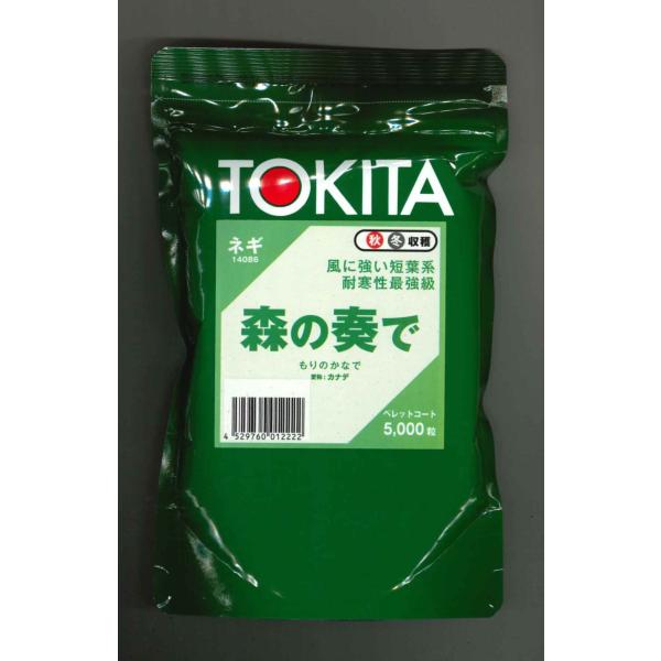 野菜種　ねぎ　森の奏で早太りで、揃い良く、歩どまり良好です。種・苗・農業資材品揃え豊富！農家さん御用達のお店　グリーンロフトネモト