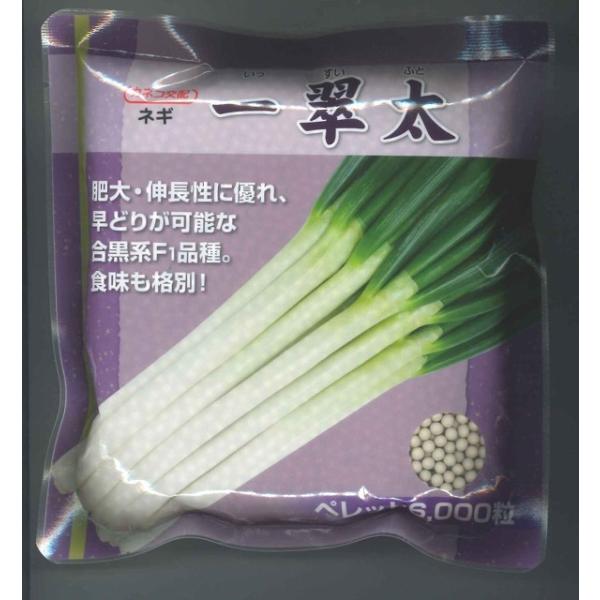 ˂ ꐉ ybgq6痱 JlRcij