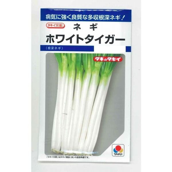 ˂ zCg^CK[ 8ml ^LCcij DF