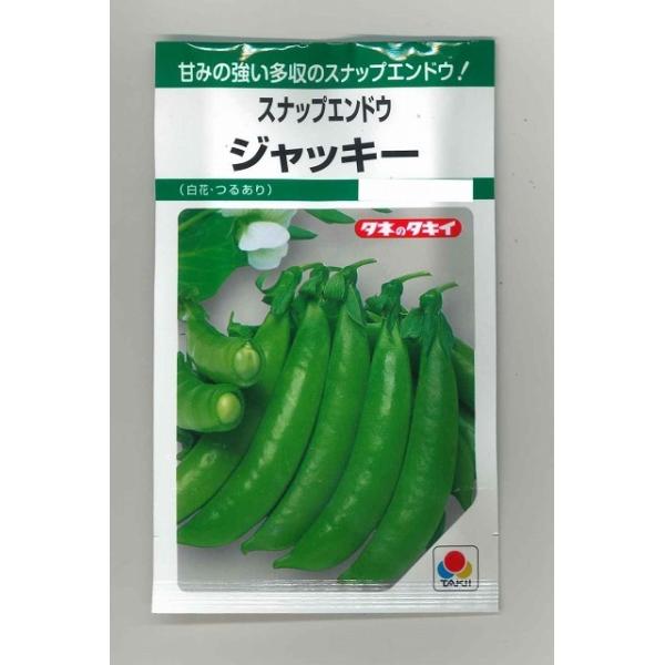 XibvGhE WbL[ 18ml ^LCcij GF