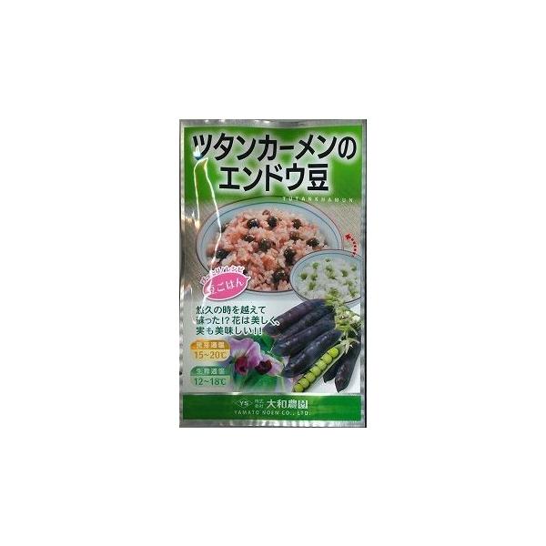 ǂ c^J[̃GhE 8ml ija_