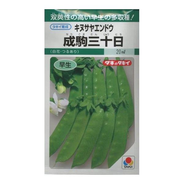 ǂ O\ 18ml ^LCcij GF