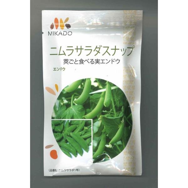 豆類 エンドウ ニムラサラダスナップ 1dl みかど協和のたね :4310:グリーンロフトネモト 通販 スナップエンドウ 種 たね サラダスナップ豌豆 1袋(30ml) えんどう豆 豌豆 野菜たね YTC75
