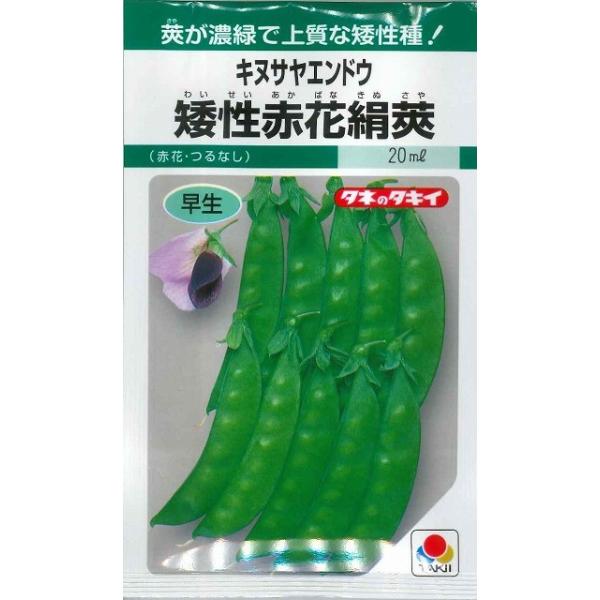 野菜種　キヌサヤエンドウ　矮性赤花絹莢生育旺盛で耐寒性が強く栽培容易です。　種・苗・農業資材品揃え豊富！農家さん御用達のお店　グリーンロフトネモト