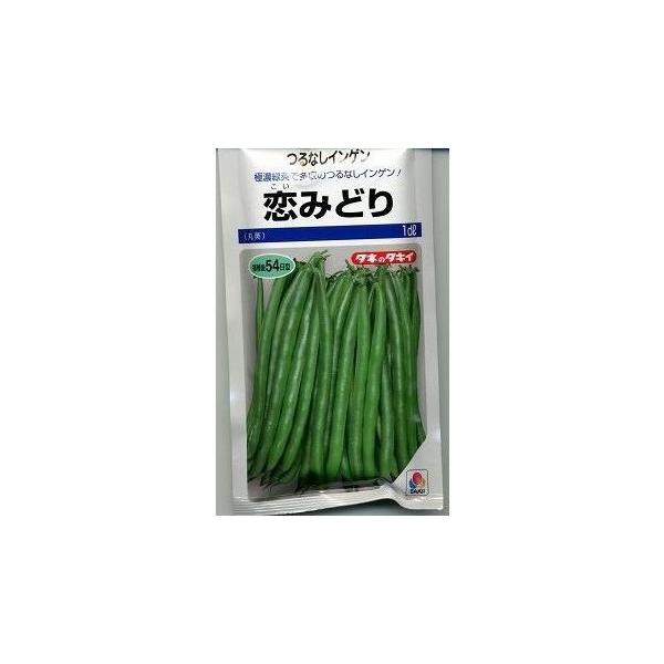 野菜種　いんげん 恋みどり食味良好 風味豊かで食味がよい。種・苗・農業資材品揃え豊富！農家さん御用達のお店　グリーンロフトネモト