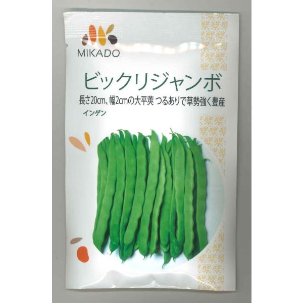 野菜種　いんげん ビックリジャンボお皿にのらない大きさで、話題です！種・苗・農業資材品揃え豊富！農家さん御用達のお店　グリーンロフトネモト