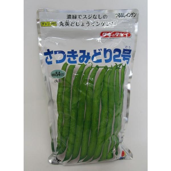 いんげん さつきみどり2号 1L タキイ種苗（株） : グリーンロフト
