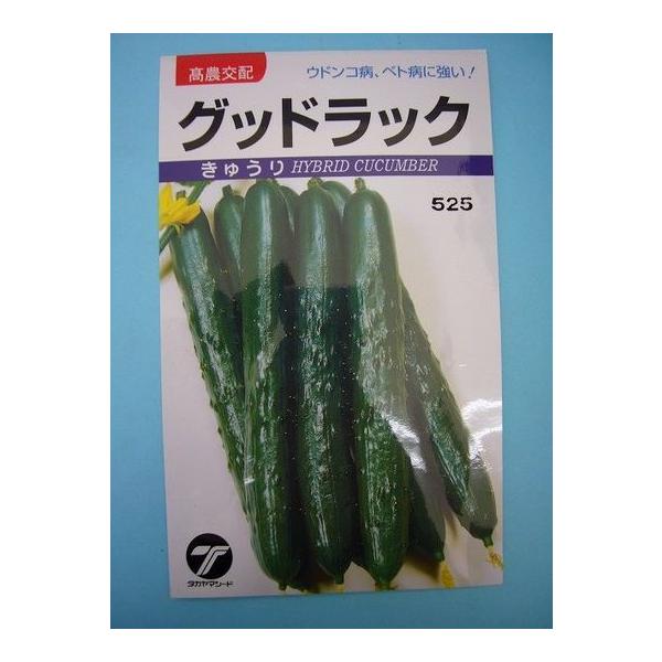 ���イ�� �O�b�h���b�N 0.9ml �i���j�^�J���}�V�[�h