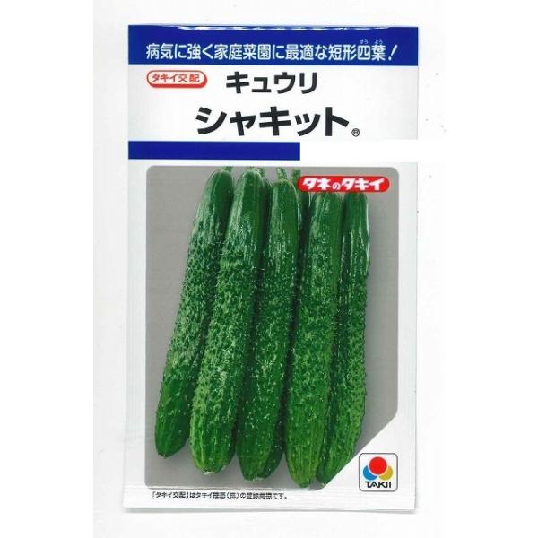 野菜種　きゅうり　シャキットうどんこ病・べと病・ウイルス病に特に強い！種・苗・農業資材品揃え豊富！農家さん御用達のお店　グリーンロフトネモト