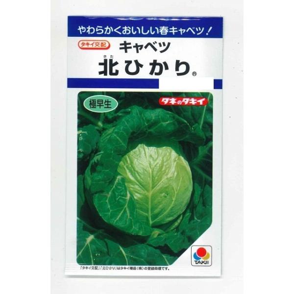 ジューシーでやわらかく、食味のよい春キャベツです。種・苗・農業資材品揃え豊富！農家さん御用達のお店　グリーンロフトネモト