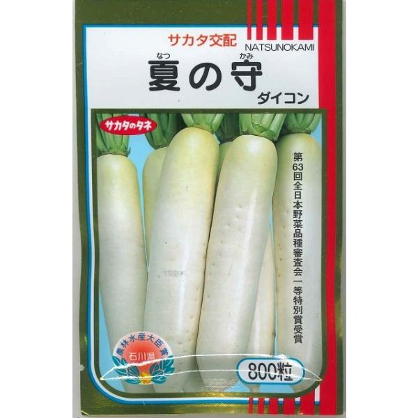 卪 Ă̎ 800 ijTJ^̃^l