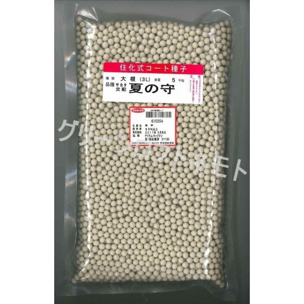 卪 Ă̎ ybgq5000 ijTJ^̃^l