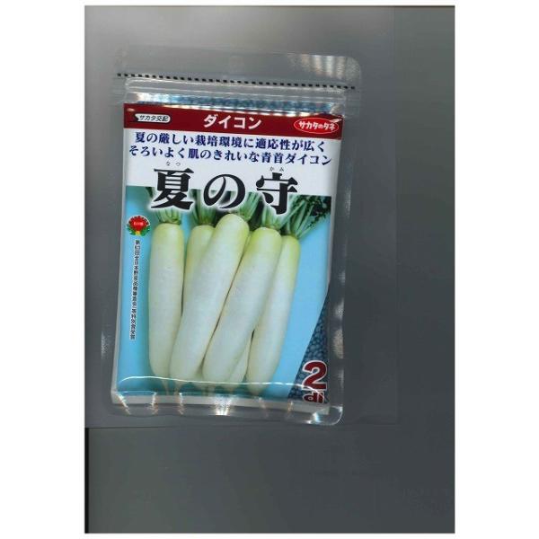 卪 Ă̎ 8000 ijTJ^̃^l