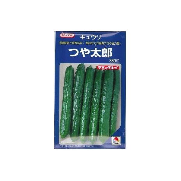 イ ⑾Y 350 ^LCcij