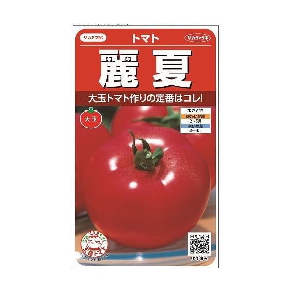 野菜種　大玉トマト　麗夏裂果に強い！夏秋栽培用品種です。種・苗・農業資材品揃え豊富！農家さん御用達のお店　グリーンロフトネモト