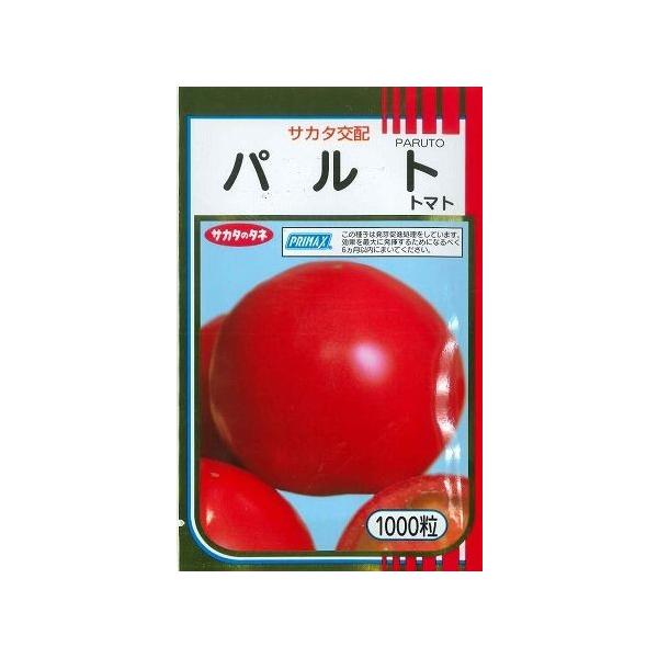 ʃg}g pg 1000 ijTJ^̃^l