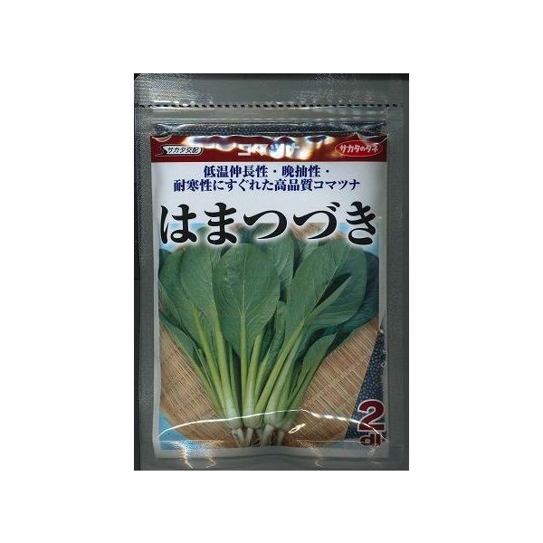  ͂܂Â 2dl ijTJ^̃^l