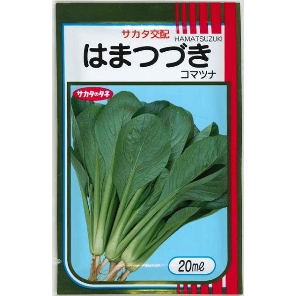 野菜種　小松菜　はまつづき
