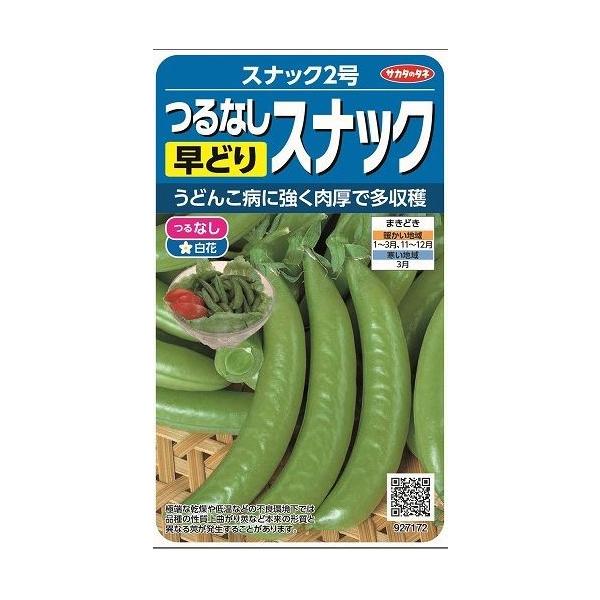 ȂGhE XibN2 55 ijTJ^̃^l 350(003135)