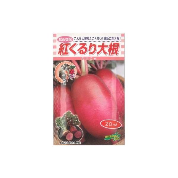 野菜種　大根　紅くるり最適期播種で45日ごろより300g、その後1kg程度の大きさまで順次収穫できます種・苗・農業資材品揃え豊富！農家さん御用達のお店　グリーンロフトネモト