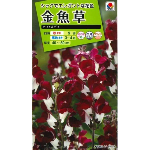 Ԃ̎  iCgfC ^LCcij(mL200)