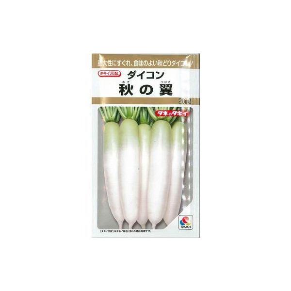卪 H̗ 20ml ^LCcij
