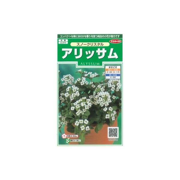 Ԃ̎ AbT Xm[NX^ 43 ijTJ^̃^l 250(026216)