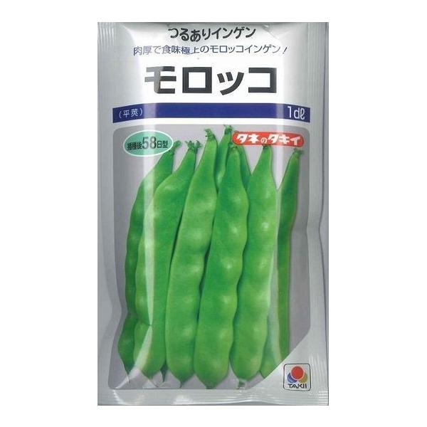 野菜種　いんげん つるあり モロッコ莢は長さ14cm、幅1.8cm程度のつるあり種です。種・苗・農業資材品揃え豊富！農家さん御用達のお店　グリーンロフトネモト