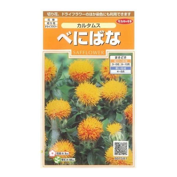 Ԃ̎ ׂɂ΂ J^X 22 ijTJ^̃^l 200(026354)