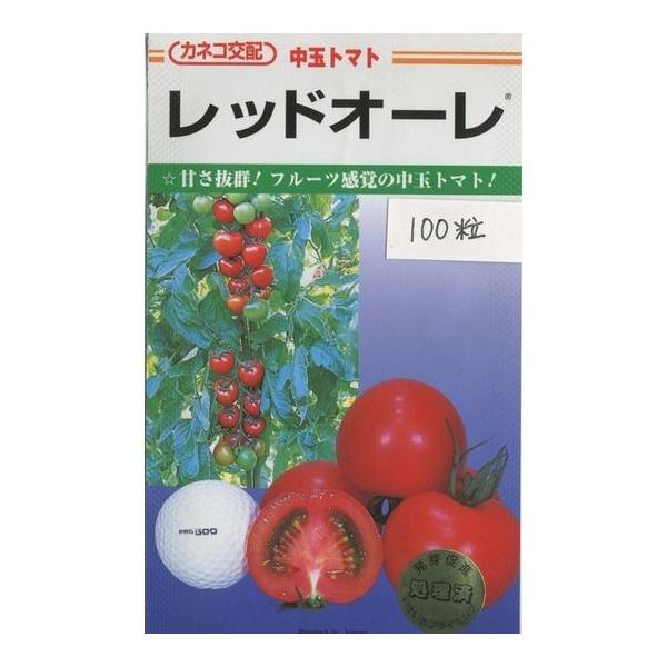 ʃg}g bhI[ 100JlRcij