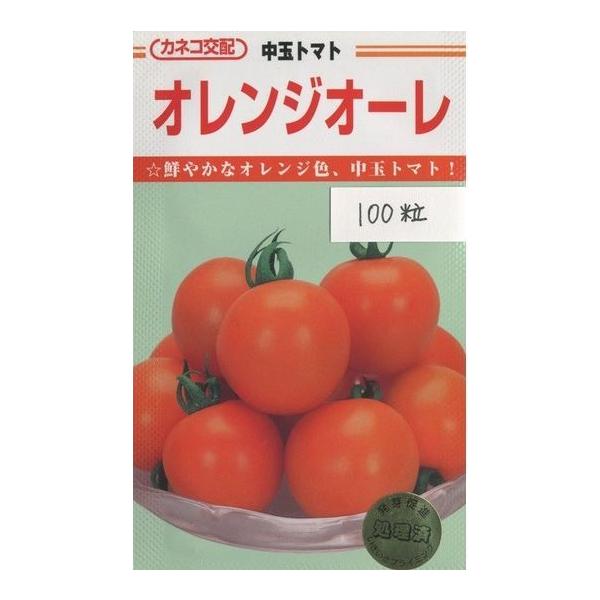 ʃg}g IWI[ 100 JlRcij