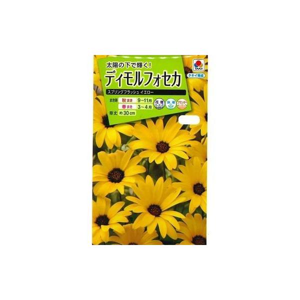 Ԃ̎ fBtHZJXvOtbVCG[ 2ml ^LCcij(mL200)