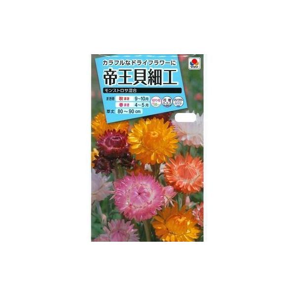 花の種 帝王貝細工 モンストロサ混合 小袋 タキイ種苗 Buyee Buyee 日本の通販商品 オークションの代理入札 代理購入