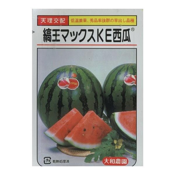 西瓜縞王マックスｋｅ西瓜8粒天理交配 Buyee Buyee 提供一站式最全面最專業現地yahoo Japan拍賣代bid代拍代購服務bot Online