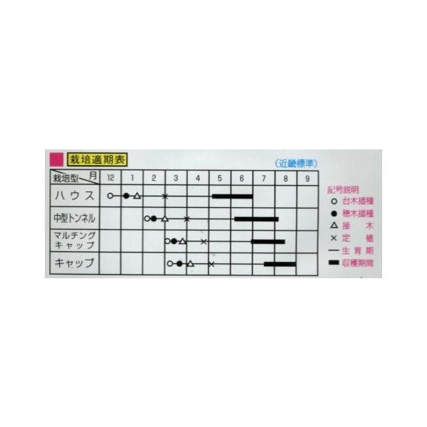 西瓜縞王マックスｋｅ西瓜8粒天理交配 Buyee 日本代购平台 产品购物网站大全 Buyee一站式代购bot Online