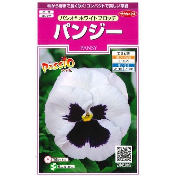 Ԃ̎ pW[ pVI zCgub` 34 ijTJ^̃^l 350(026143)