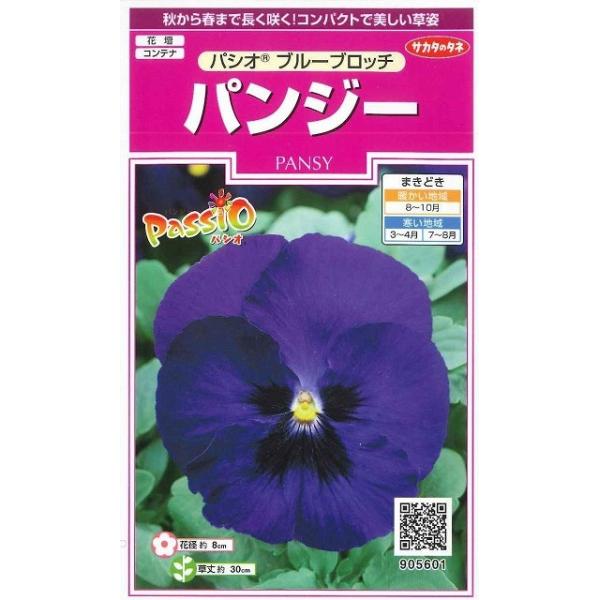 Ԃ̎ pW[ pVI u[ub` 34 ijTJ^̃^l 350(026142)