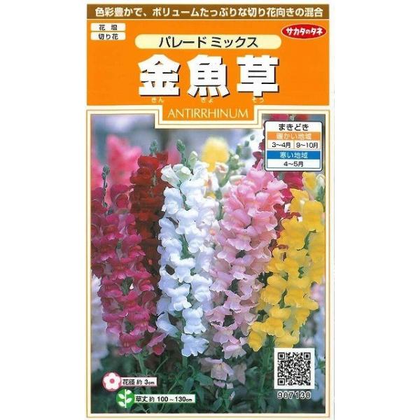 Ԃ̎  p[h~bNX 145 ijTJ^̃^l 200(026316)