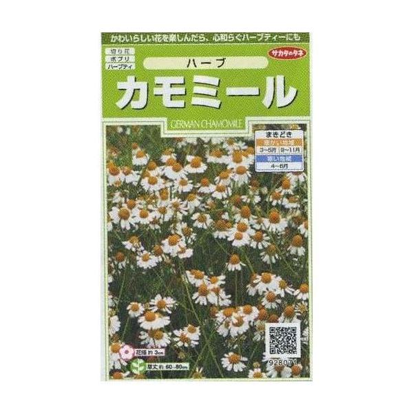 ハーブの種　カモミール初夏に小さい菊に似た白い花が咲く1年草です。種・苗・農業資材品揃え豊富！農家さん御用達のお店　グリーンロフトネモト