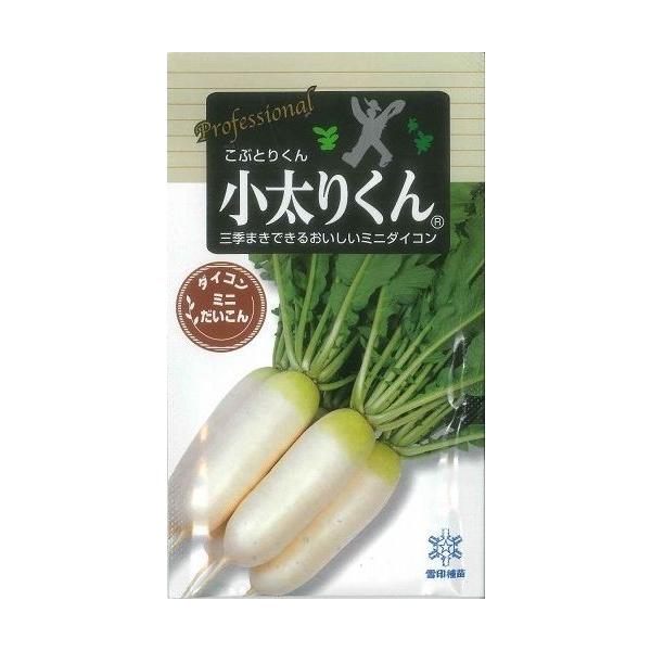 ~j卪 肭 500 cij