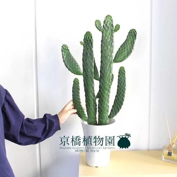 nGXq(X~G{V)/oUCE`T{e@6