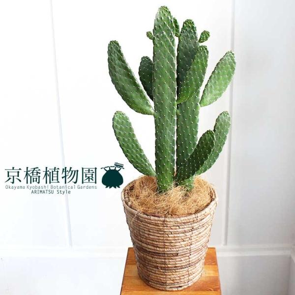 nGXq(X~G{V)/oUCE`T{e@6yIׂJ[zyoXPbgJo[tz