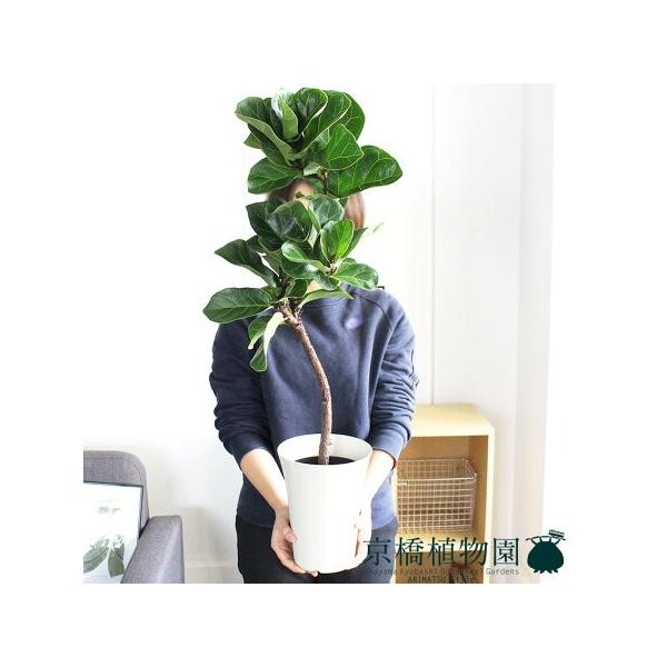 green-power_ag-181124-7