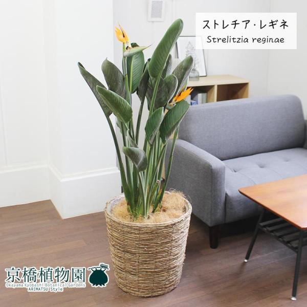 green-power_ag-201016-t2