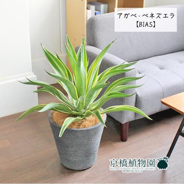 AKxExlYG 8yrAXJo[t/ubNz