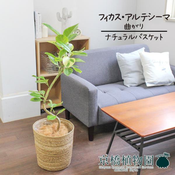 yi`oXPbgJo[ztBJXEAeV[}@7@Ȃy󂯎Mtz