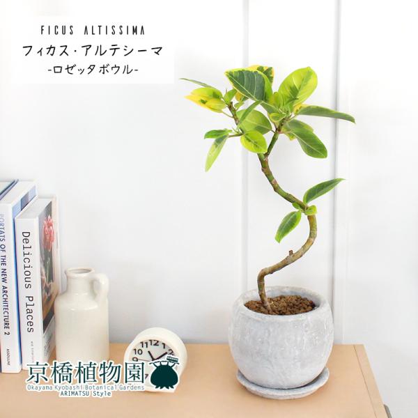 y[b^{ESTCY/zCgztBJXEAeV[}@Ȃy󂯎Mtz