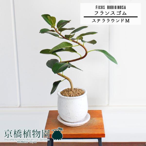 yXeEhFMTCY/픫ztXS@Ȃy󂯎Mtzpot