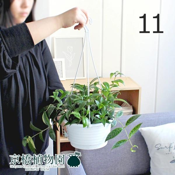 吊り下げ 鉢 観葉植物の人気商品 通販 価格比較 価格 Com